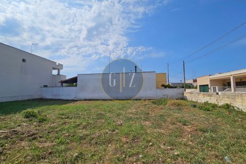 Terra a Melendugno, Lecce, Melendugno - € 65.000 | Ref: SE003 - foto 10